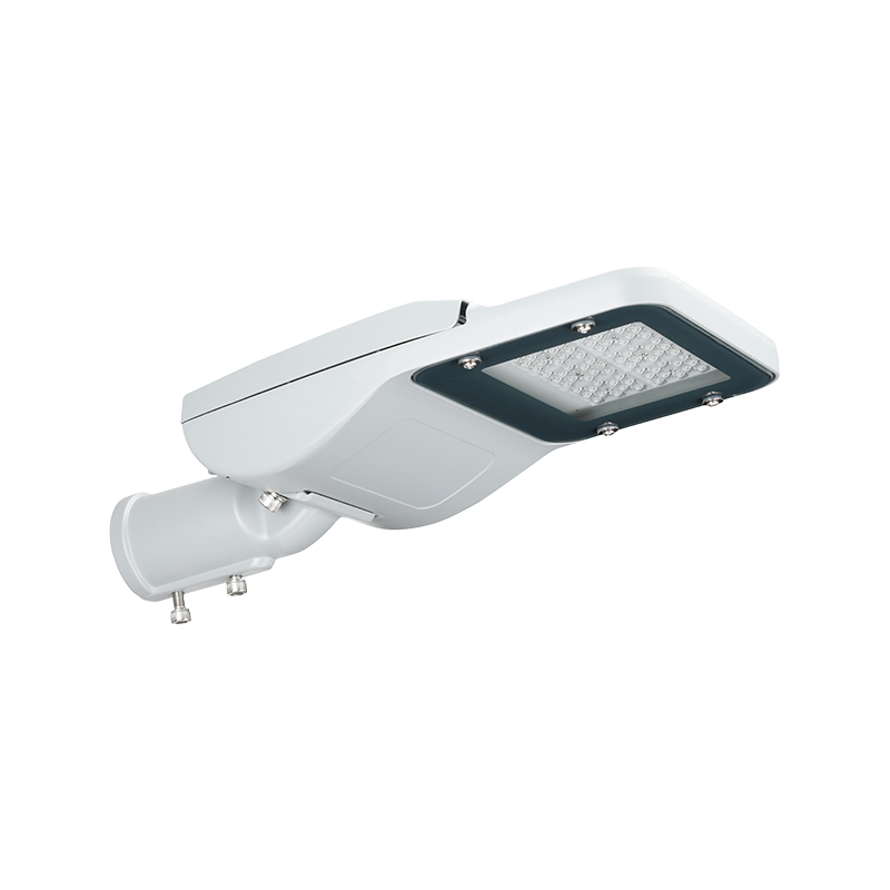 Farola LED ajustable de la serie PACIFIC PRO para iluminación pública
